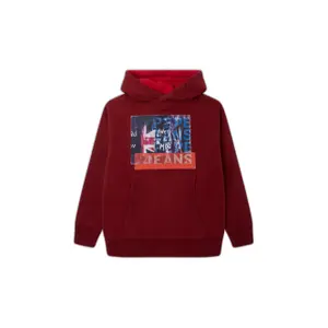 Children's hoodie Pepe Jeans Omar image-0