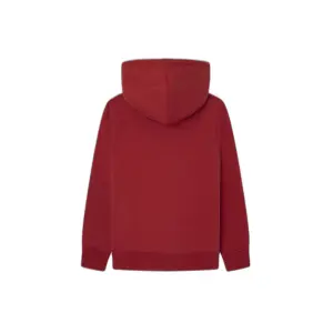 Children's hoodie Pepe Jeans Eddie image-1