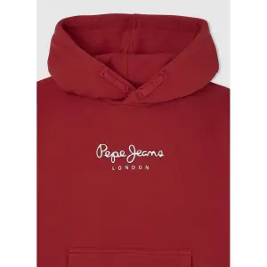 Children's hoodie Pepe Jeans Eddie image-2