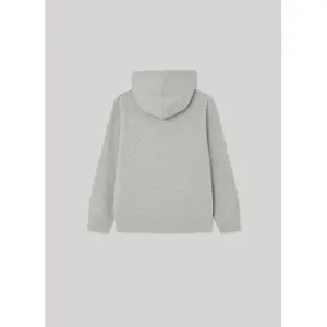 Child hoodie Pepe Jeans Eddie image-1