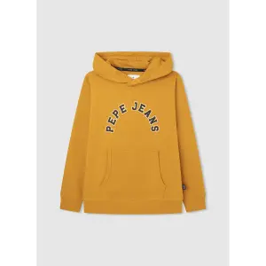 Child hoodie Pepe Jeans Nate image-0