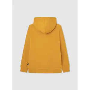 Child hoodie Pepe Jeans Nate image-1