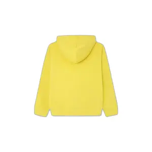 Child hoodie Pepe Jeans Waldo image-1