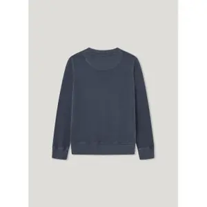 Sweatshirt child Pepe Jeans Aldridge Crew image-1