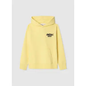 Child hoodie Pepe Jeans Lewis image-4