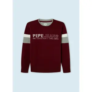 Child's sweater Pepe Jeans Raphael image-0