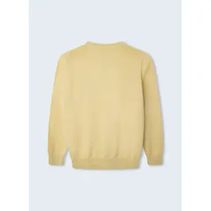 Sweatshirt child Pepe Jeans Kerry image-1