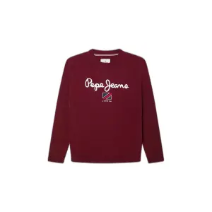 Child's sweater Pepe Jeans Jeans Larson image-0