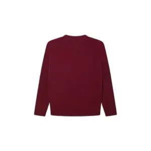 Child's sweater Pepe Jeans Jeans Larson image-1