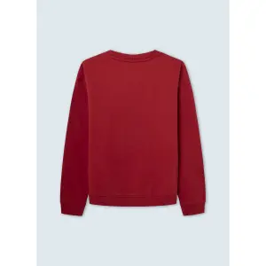 Sweatshirt girl Pepe Jeans Winter Rose image-3