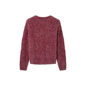 Girl's sweater Pepe Jeans Jeans Aster image-1