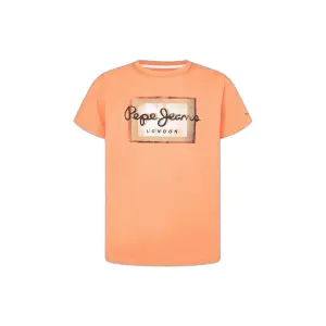 T-Shirt Pepe Jeans Wesley image-0