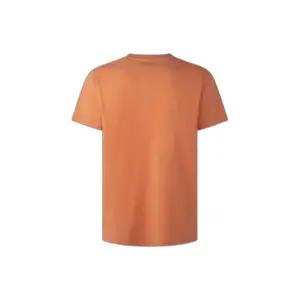T-Shirt Pepe Jeans Alessio image-1