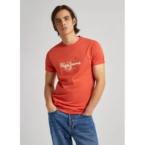 Camiseta Pepe Jeans Count image-1
