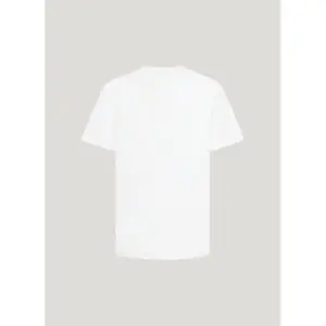 Camiseta Pepe Jeans Albert image-4