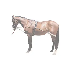 Horse lanyard reins Pessoa