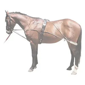 Horse lanyard reins Pessoa