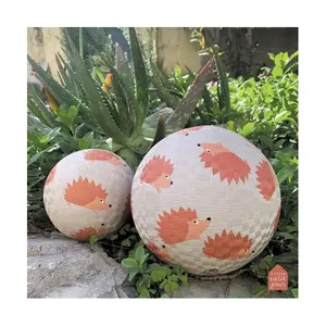 Small Ball Petit Jour Les Hérissons image-2