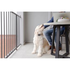 product/p/e/petsafe_cy0570_2.jpg