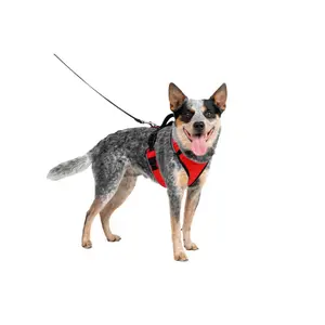 Arreios para cães PetSafe Easy Sport image-2