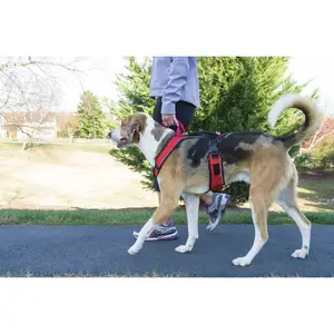 Arreios para cães PetSafe Easy Sport image-3