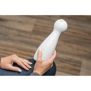 Laserpekare för katter PetSafe Bolt™ V2 image-1