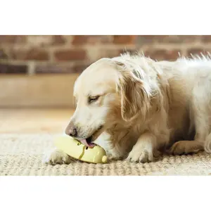 Jouet glace à mâcher pour chien PetSafe Frosty Cone™ image-2