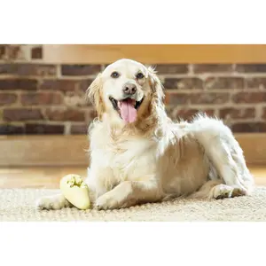 Jouet glace à mâcher pour chien PetSafe Frosty Cone™ image-3