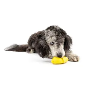 Ice chew toy for dogs PetSafe Frosty Cone™ image-1
