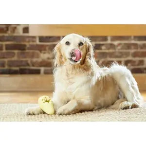 Jouet glace à mâcher pour chien PetSafe Frosty Cone™ image-4