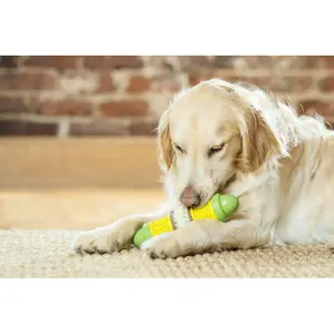 Chew toy for dogs PetSafe Epi Maïs Cravin'Corncob™ image-3