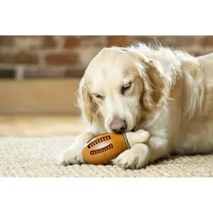 Παιχνίδι σφυρί κοτόπουλο για σκύλους PetSafe Chompin’Chicken™ image-3