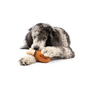 Παιχνίδι σφυρί κοτόπουλο για σκύλους PetSafe Chompin’Chicken™ image-4