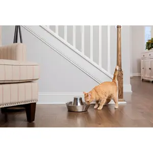 Stainless steel water cooler PetSafe Seaside image-1