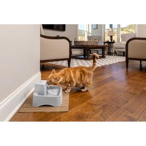 Frigorífico de água em plástico sem BPA PetSafe image-4