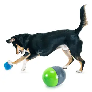 Διαδραστικό παιχνίδι Ricochet για σκύλους PetSafe image-2