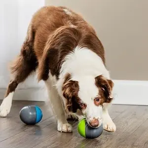 Διαδραστικό παιχνίδι Ricochet για σκύλους PetSafe image-4