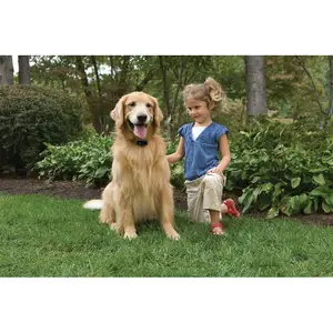 Anti-runaway fence for dogs PetSafe image-2