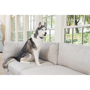 Refillable anti-bark collar for dogs PetSafe image-1