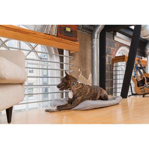 Refillable anti-bark collar for dogs PetSafe image-2