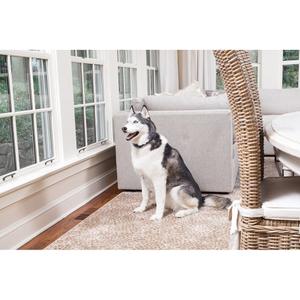 Refillable anti-bark collar for dogs PetSafe image-4