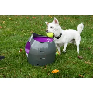 product/p/e/petsafe_cy1074_1.jpg