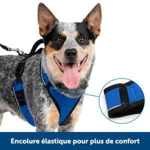 Arreios para cães PetSafe Easy Sport image-1
