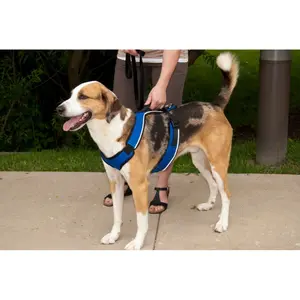 Dog harness PetSafe Easy Sport image-1