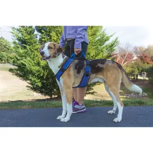 Dog harness PetSafe Easy Sport image-2