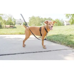 3-in-1-Hundegeschirr PetSafe EasyWalk image-1