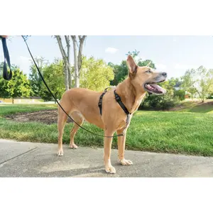 3-in-1-Hundegeschirr PetSafe EasyWalk image-2
