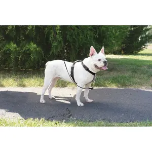 3-in-1-Hundegeschirr PetSafe EasyWalk image-3