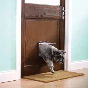 Katzenklappe 2 Positionen PetSafe Original image-2