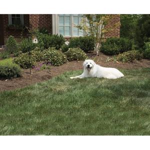 Outdoor ultrasonic anti-bark system PetSafe image-1